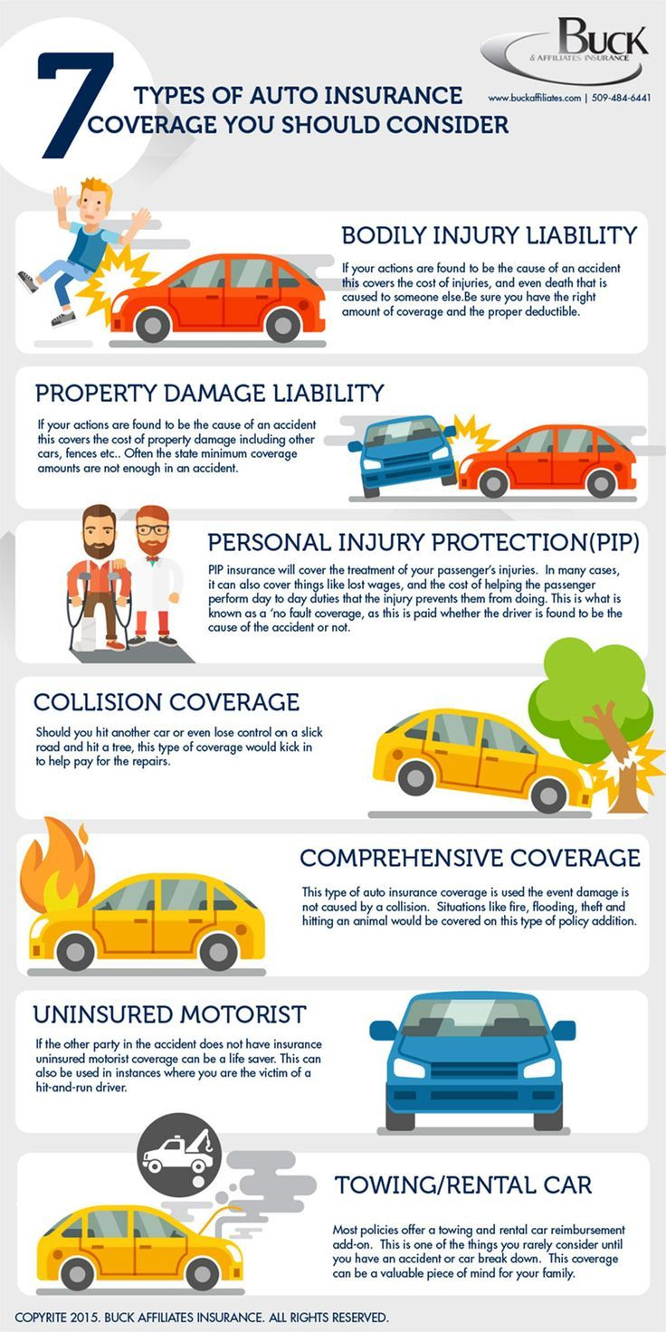 7 Types Of Car Insurance You Should Consider Infographic regarding sizing 736 X 1472