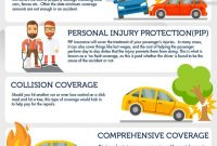 7 Types Of Car Insurance You Should Consider Infographic with proportions 736 X 1472