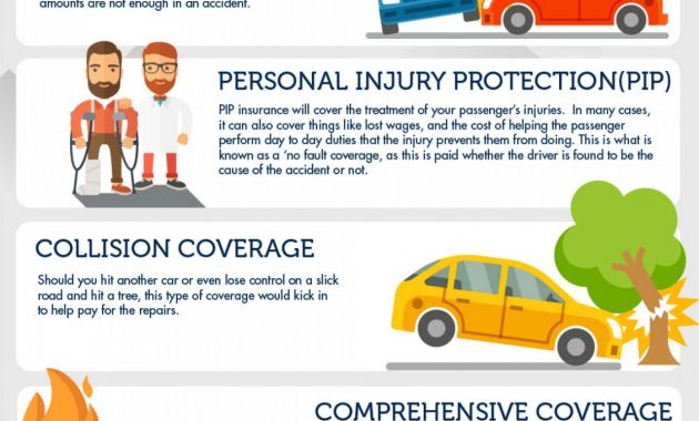 7 Types Of Car Insurance You Should Consider Visually with dimensions 1500 X 3000