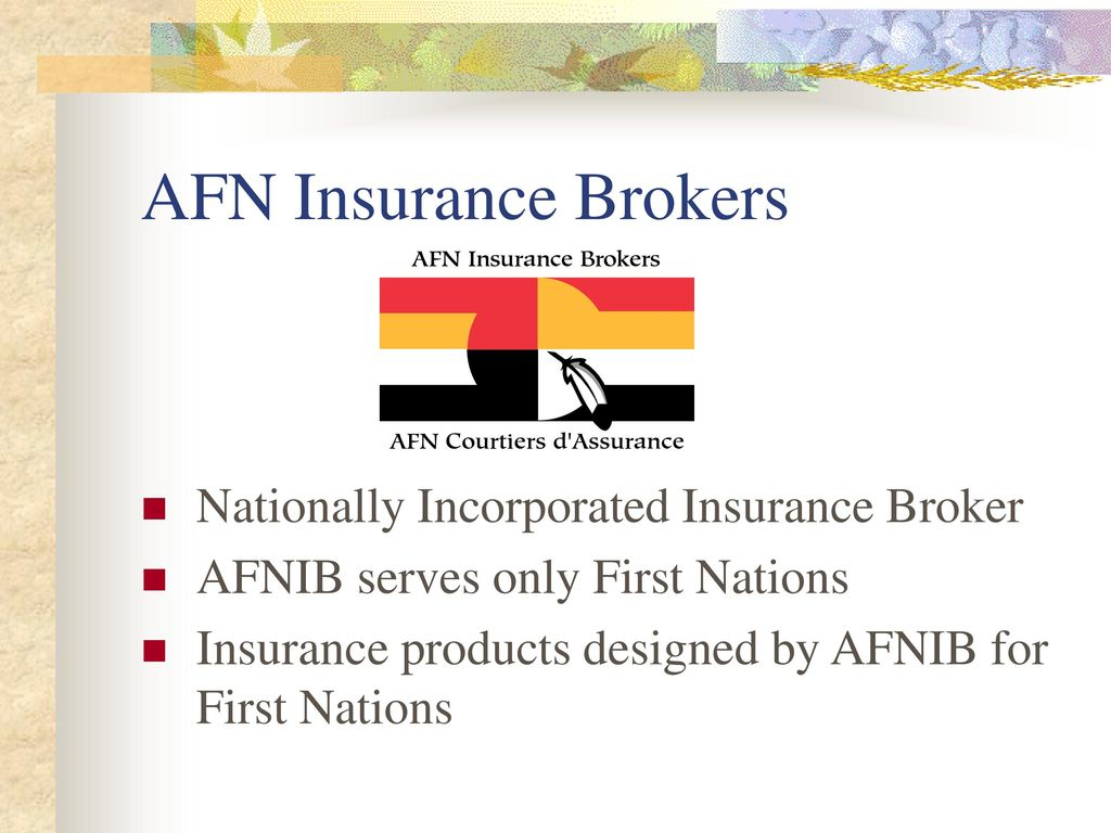 Afn Insurance Brokers Nationally Incorporated Insurance for proportions 1024 X 768