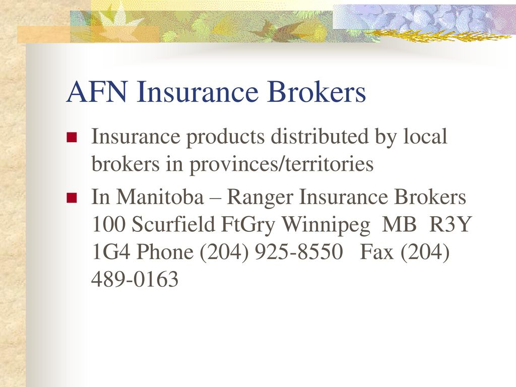 Afn Insurance Brokers Nationally Incorporated Insurance intended for proportions 1024 X 768