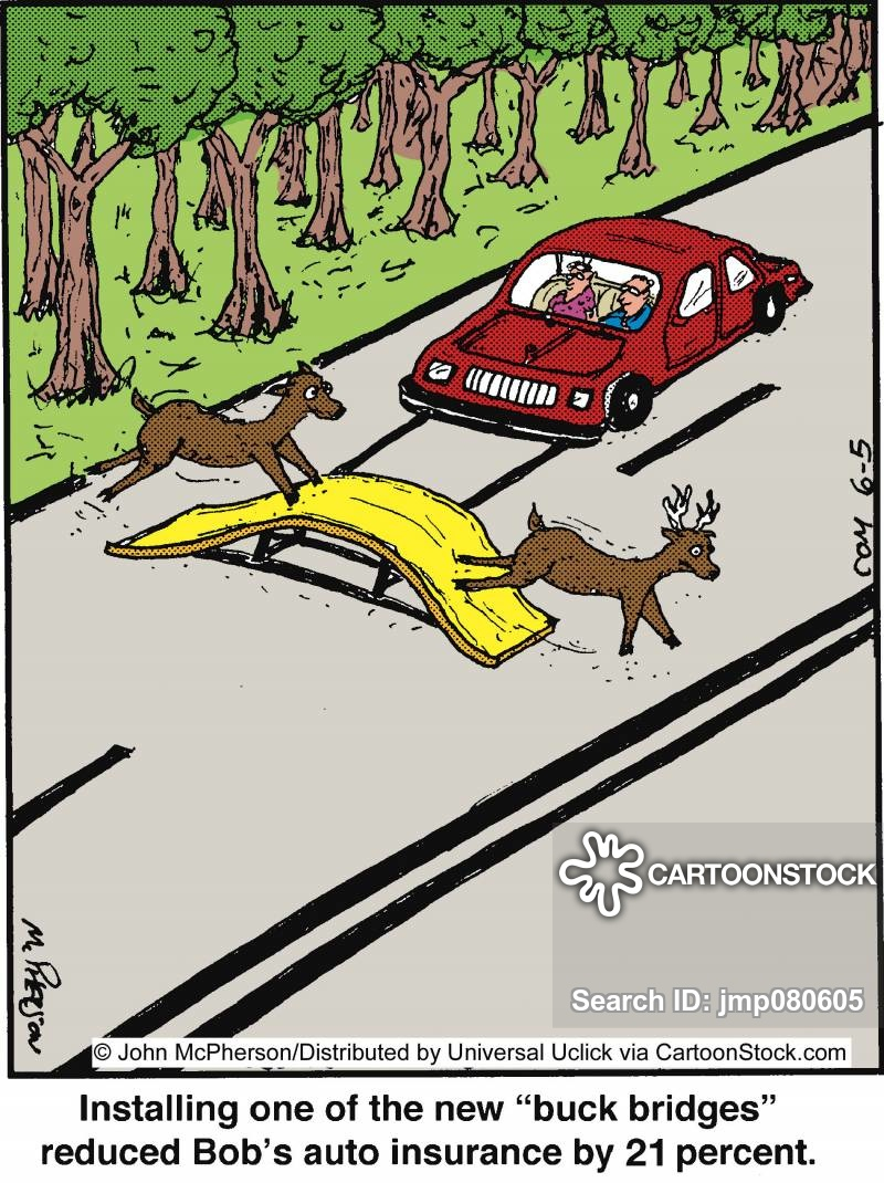 Auto Insurance Cartoons And Comics Funny Pictures From for sizing 800 X 1070