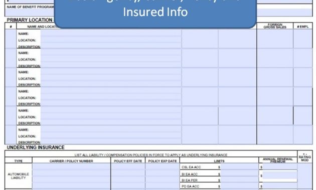 Auto Insurance Company Florida Auto Insurance Company 5 inside measurements 846 X 1080