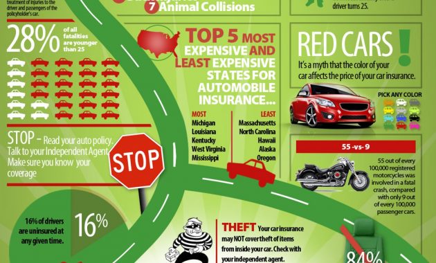 Auto Insurance Facts And Interesting Statistics Visually with dimensions 1500 X 2500