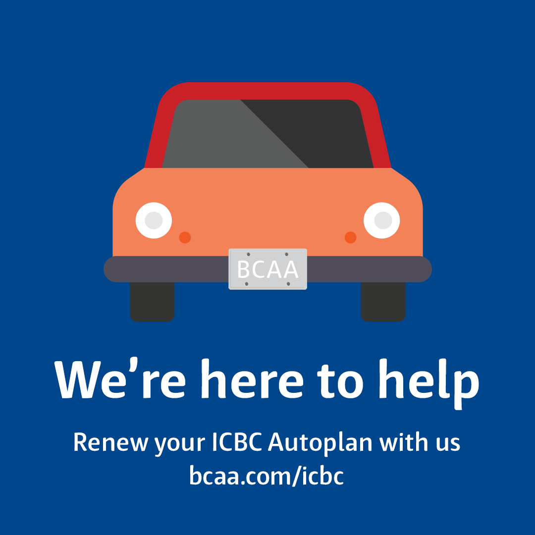 Bcaa On Twitter We Have Temporarily Closed Our Service in dimensions 1080 X 1080