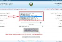 Check Uae Visa Status Dubai Visa Status Uae Labours intended for dimensions 1237 X 705