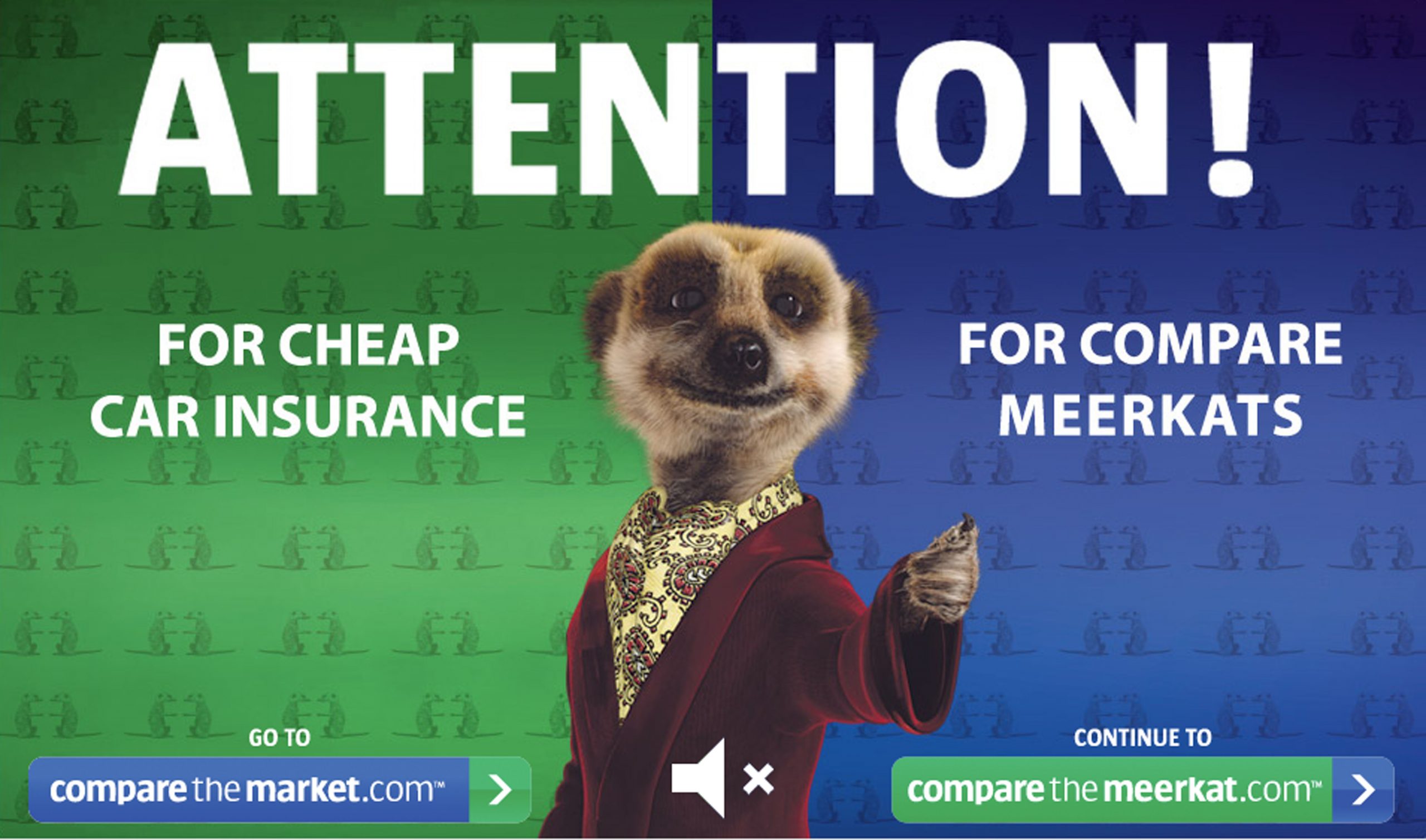 Compare Car Insurance Compare The Market Movies within measurements 6000 X 3537