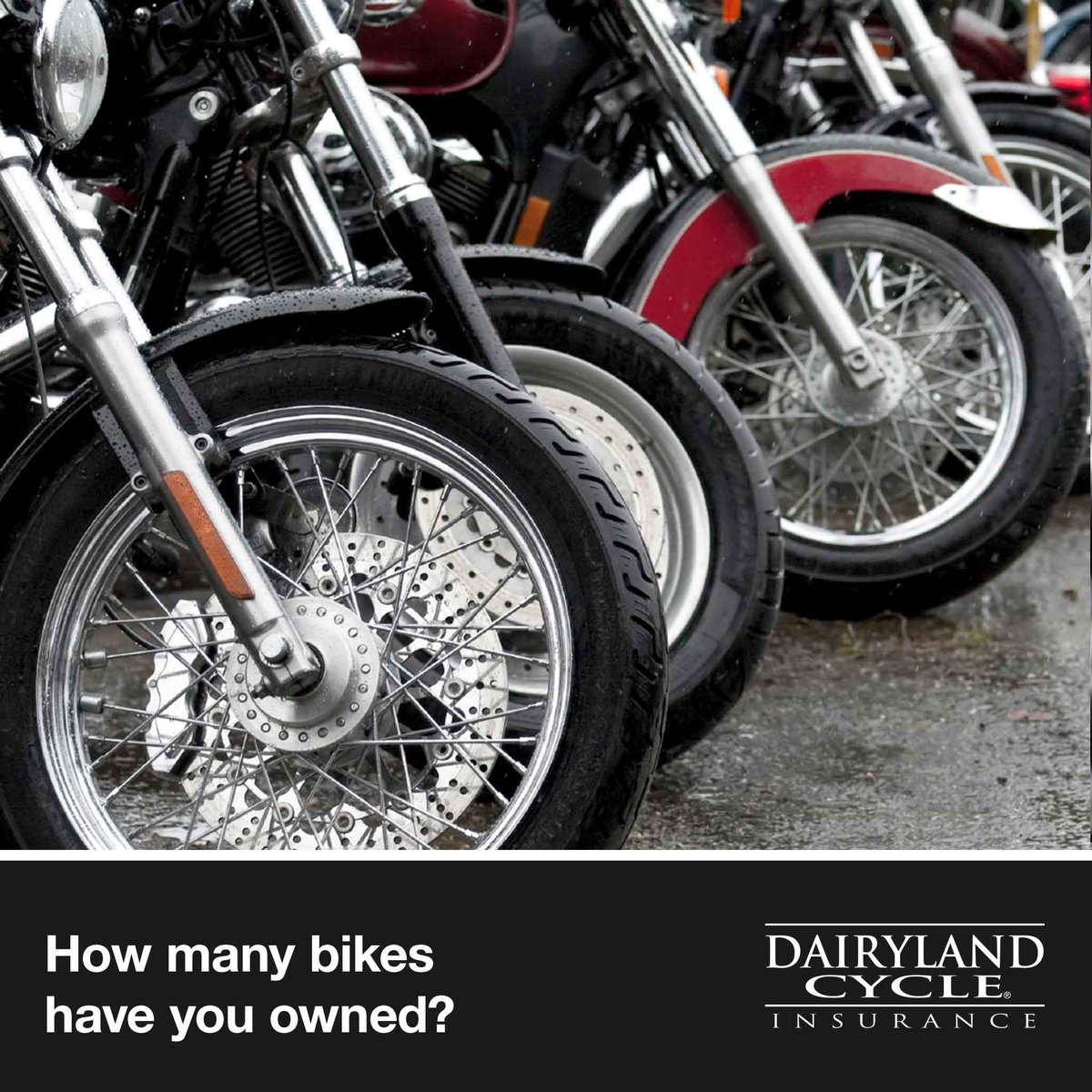 Dairyland On Twitter Can You Remember All The Bikes You pertaining to dimensions 1200 X 1200