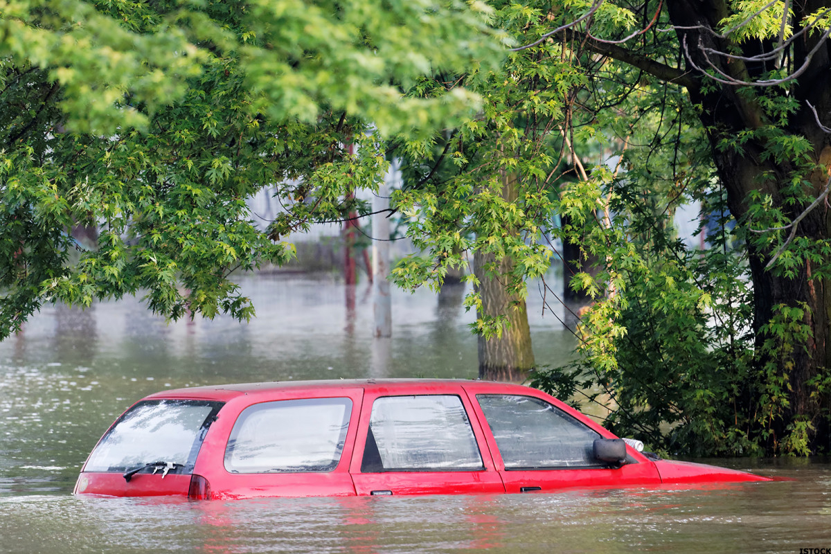 Does Insurance Cover Dog Bites Flooding Or Your Dashboard with regard to sizing 1200 X 800