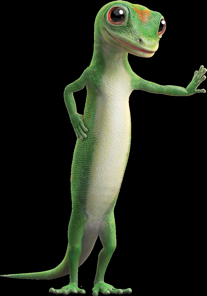 Download Geico Road Trip Geico Car Insurance Png Image throughout dimensions 854 X 1218