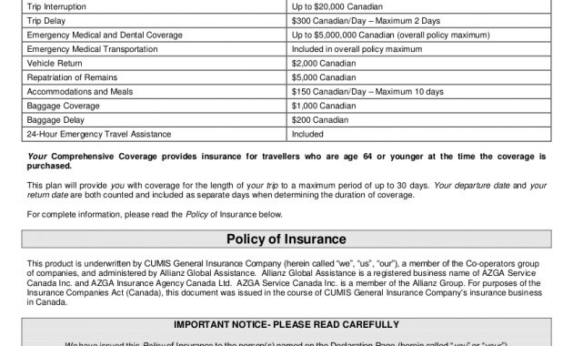 Free 14 Examples Of Insurance Policy In Pdf Examples throughout sizing 850 X 1100