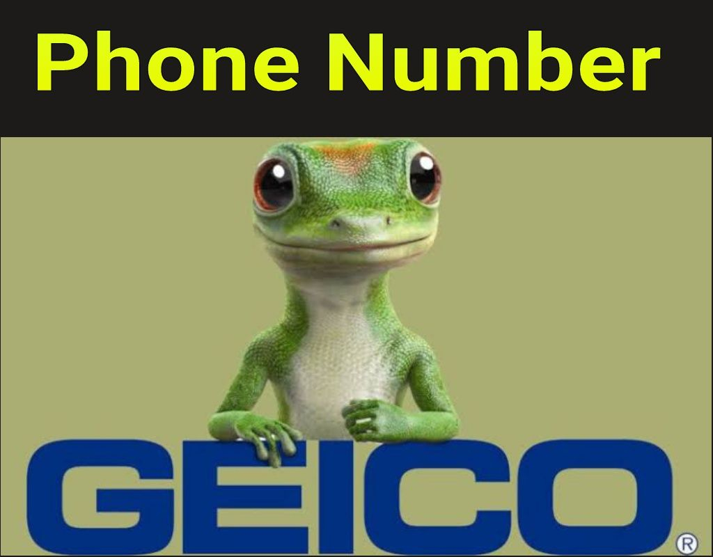 Geico Car Insurance Phone Number Call Now And Talk With inside proportions 1024 X 800