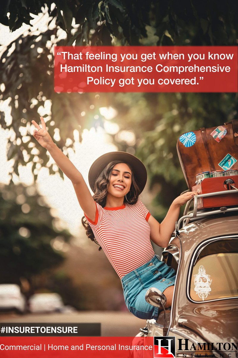 Hamilton Insurance Zimbabwe Hinsurancezw Twitter within proportions 800 X 1200