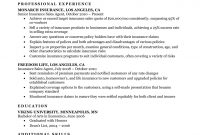 Insurance Agent Resume Sample Resume Companion with proportions 1085 X 1404