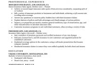 Insurance Agent Resume Sample Resume Companion with size 1085 X 1404
