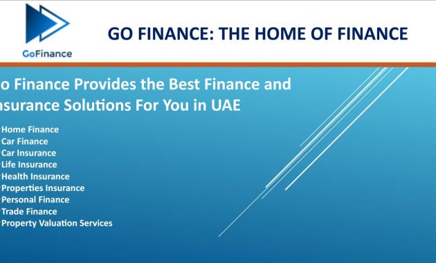 Insurance And Financial Services Uae Go Finance Issuu with sizing 1494 X 840