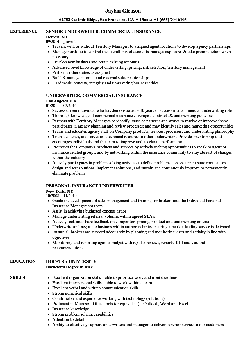 Insurance Underwriter Resume Samples Velvet Jobs with size 860 X 1240