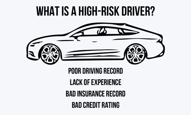 Insuring Different Driver Types Complete Guide Tips for proportions 1407 X 782