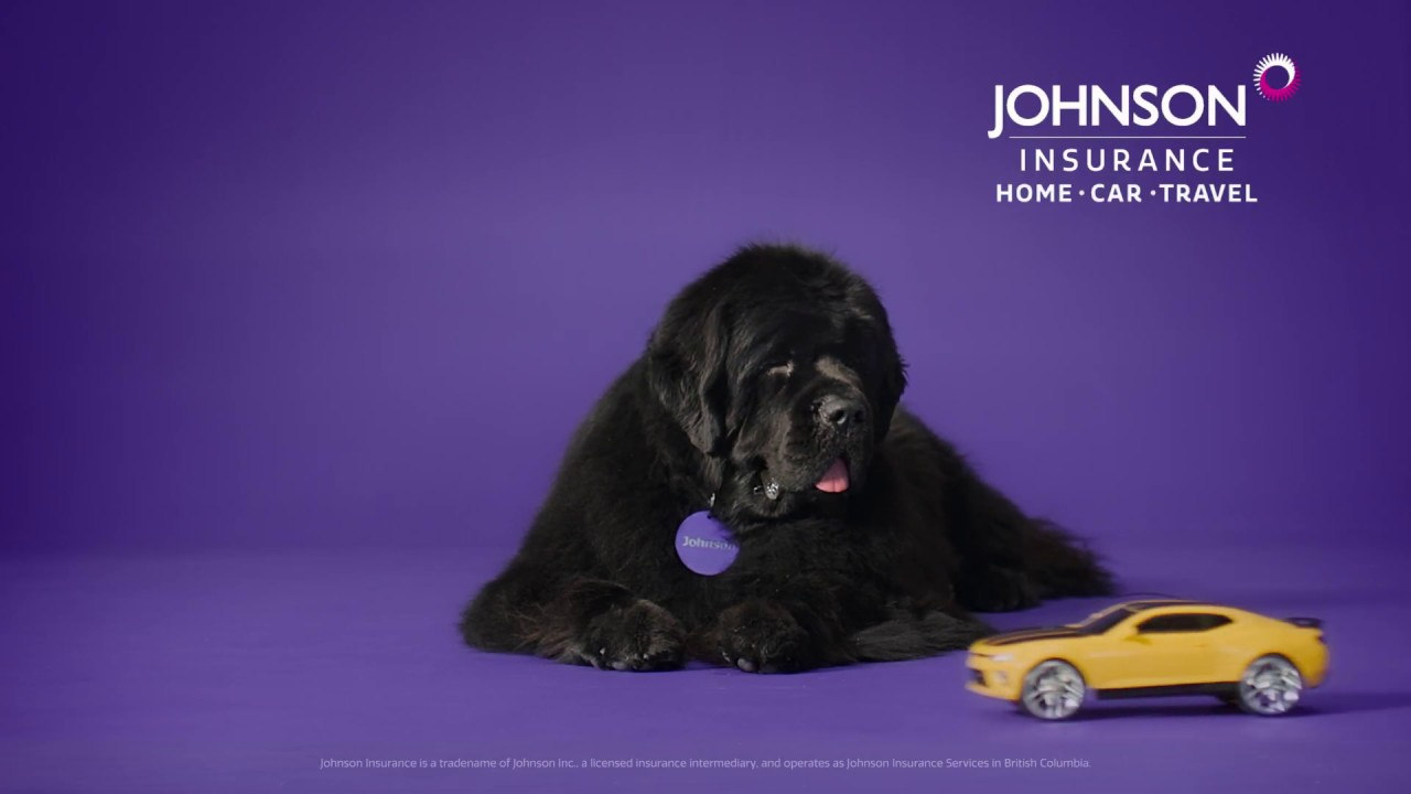 Johnson Insurance Multi Car Discount regarding proportions 1280 X 720