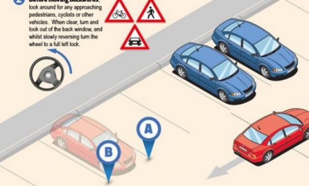 Make Parking A Cinch With This Parking Guide Infographic with regard to proportions 640 X 3260