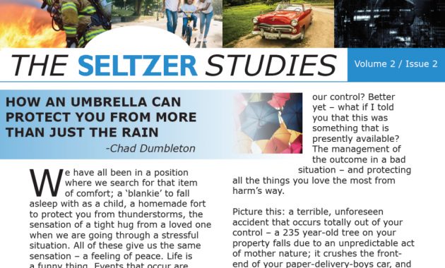 Newsletters The Seltzer Group within sizing 1024 X 800