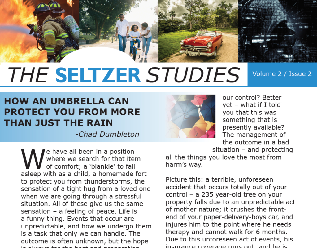 Newsletters The Seltzer Group within sizing 1024 X 800