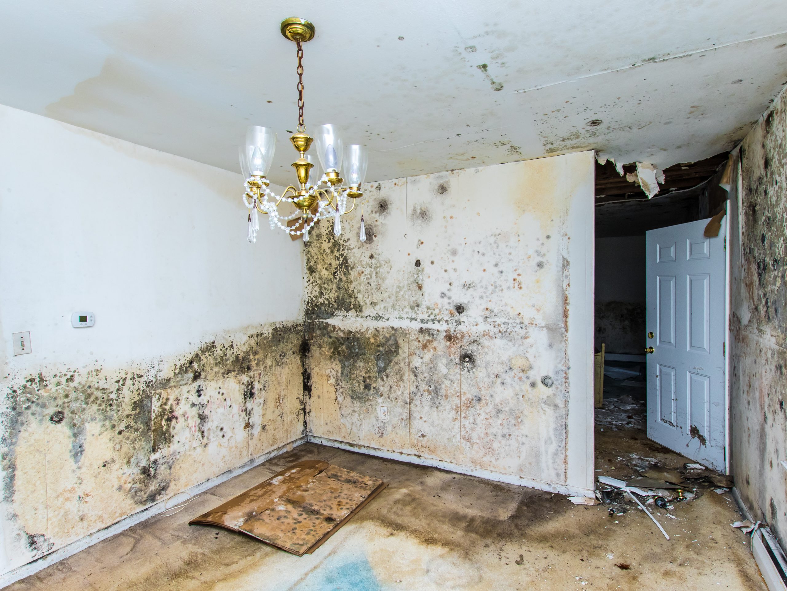 Part 2 Preventing Water Damage Insurance Claims pertaining to size 4579 X 3437