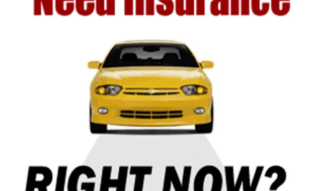 Quotes About Car Insurance 33 Quotes for measurements 1024 X 874