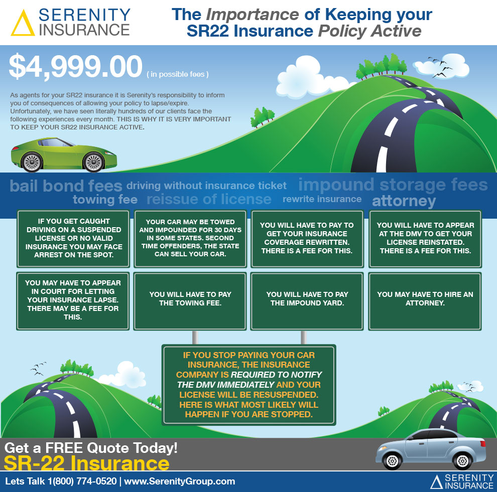 Serenity Group Inc Releases Visual Guide To The Importance with sizing 990 X 981