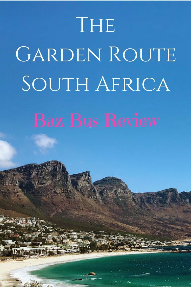 Should You Take The Baz Bus In South Africa A Baz Bus with sizing 735 X 1102