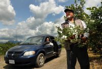 Sky High Insurance Premium Hits Pitt Meadows Farmer Maple intended for proportions 1200 X 800