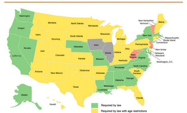 State State Guide To Motorcycle Laws W Maps with sizing 1024 X 807