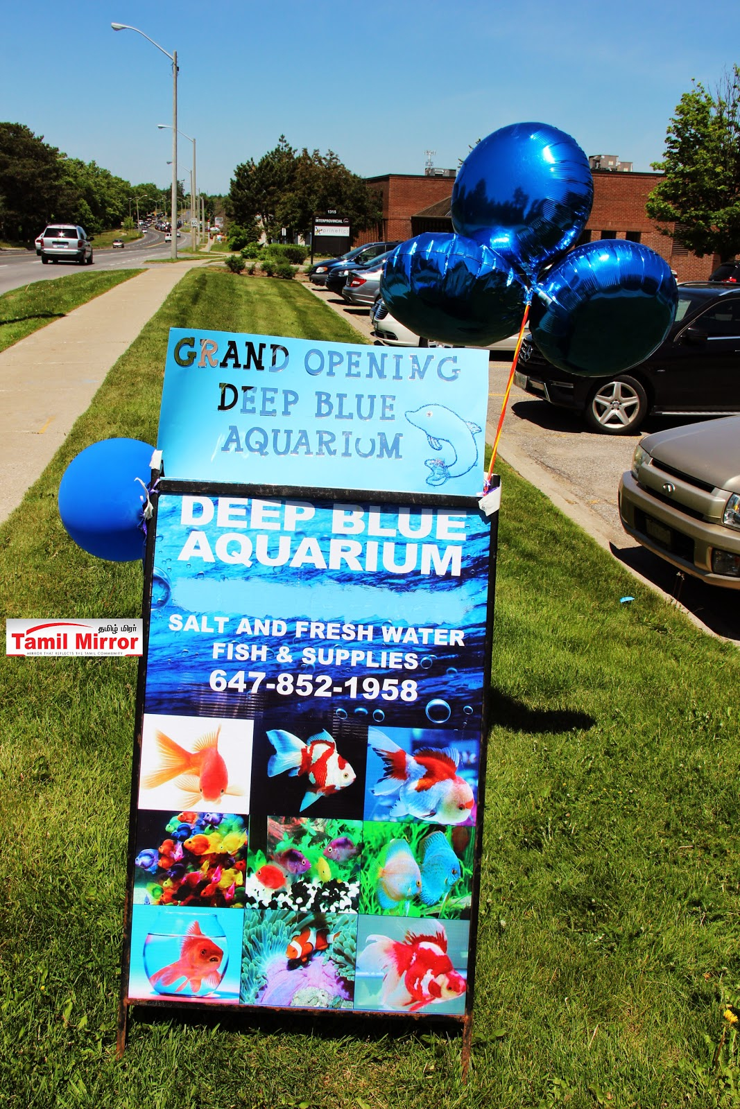 Tamil Mirror Canada Grand Opening Of Deep Blue Aquarium In with regard to size 1067 X 1600