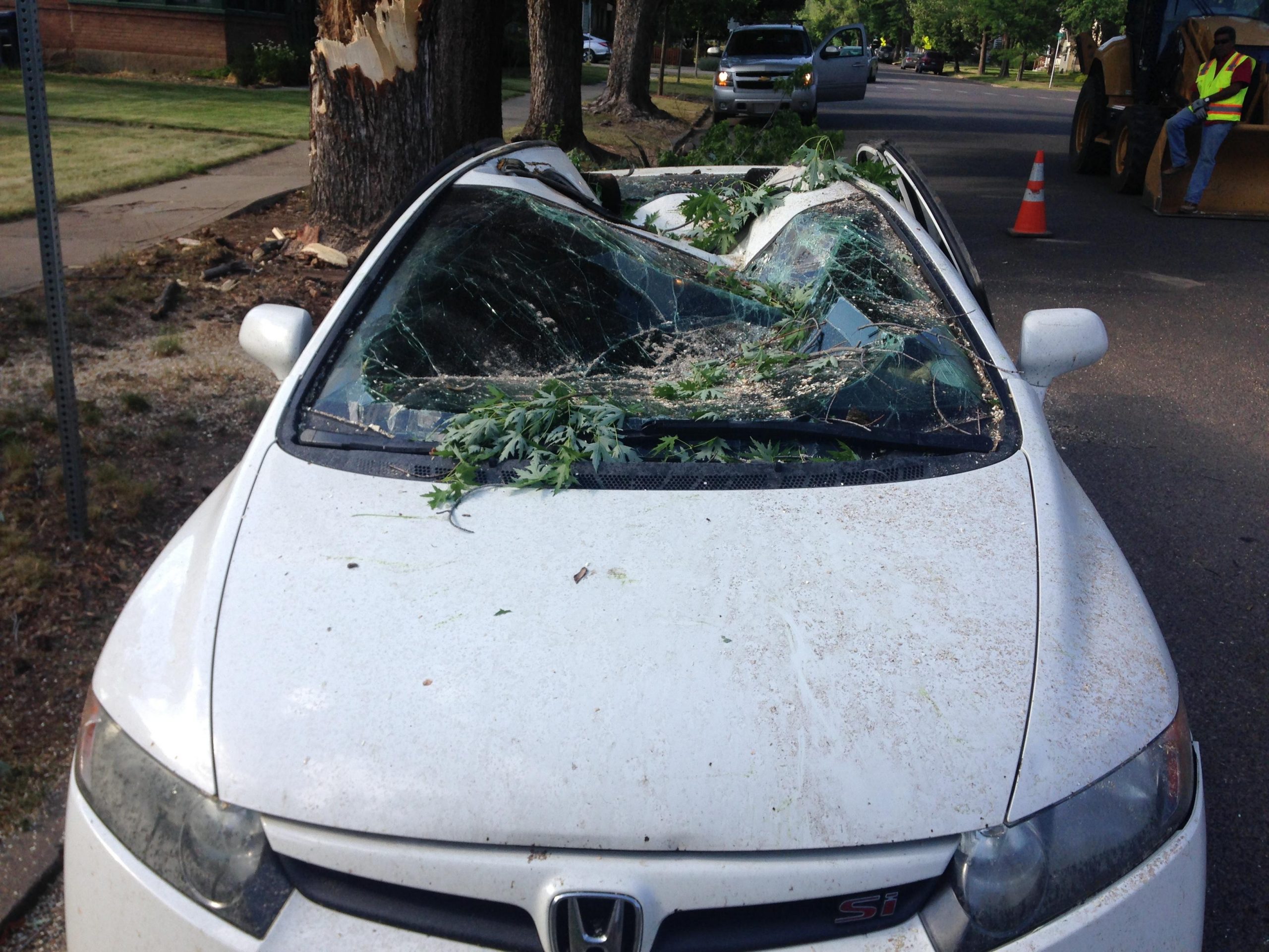 Tree Fell On My Car Anyone Got An Estimate Its A 2007 with dimensions 3264 X 2448