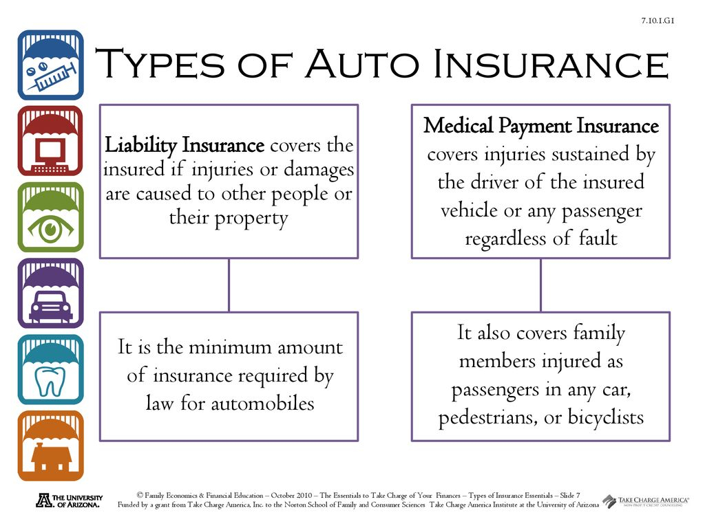 Types Of Insurance Essentials Ppt Download throughout dimensions 1024 X 768