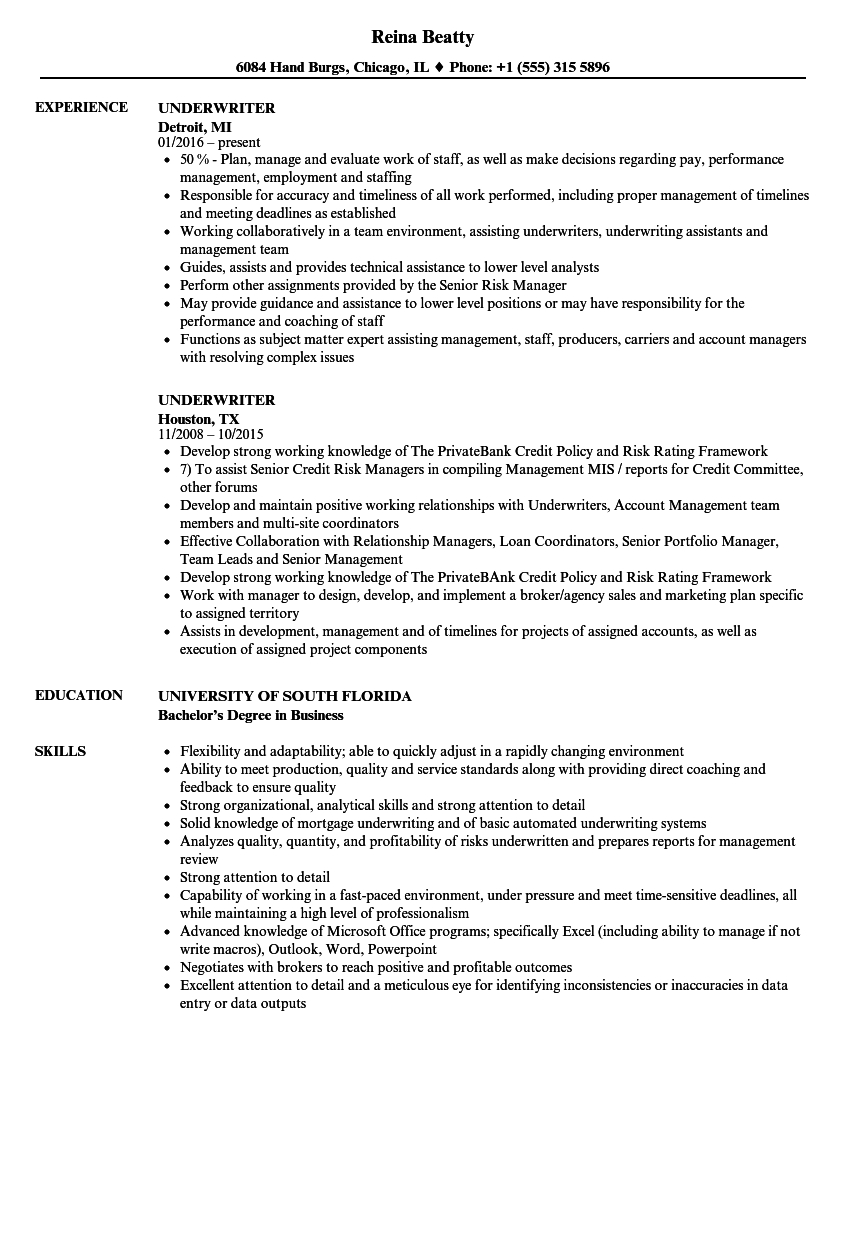 Underwriter Resume Samples Velvet Jobs in sizing 860 X 1240