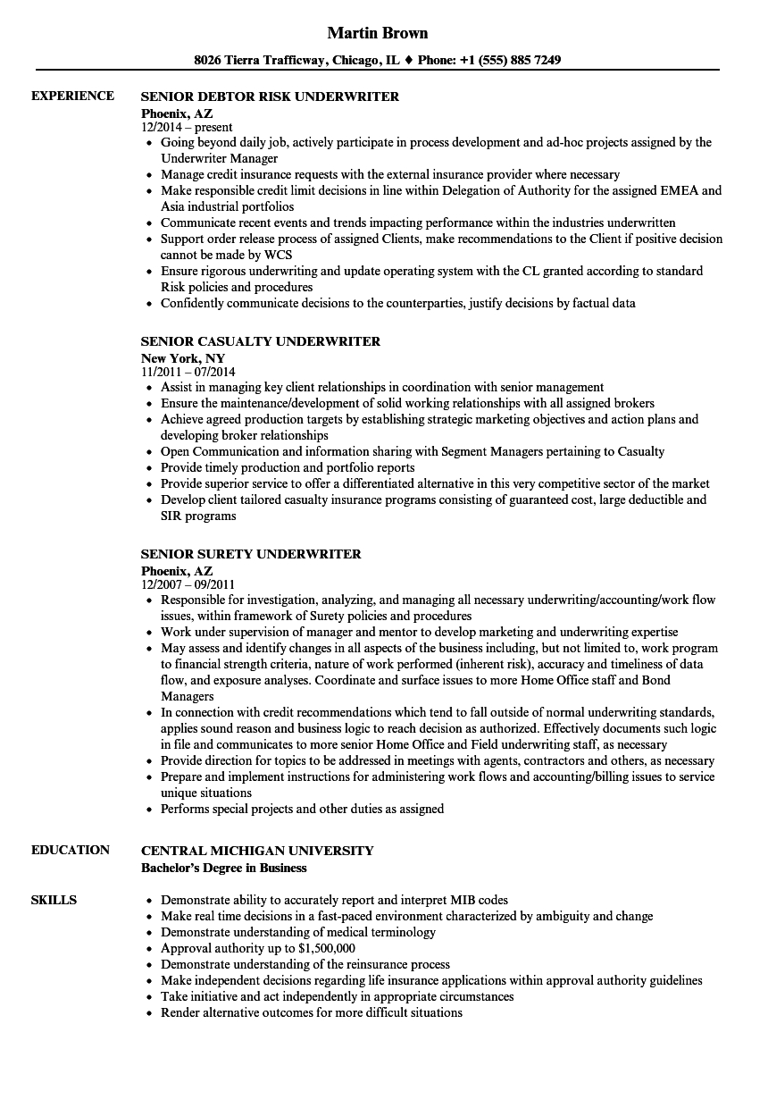 Underwriter Senior Resume Samples Velvet Jobs regarding dimensions 860 X 1240