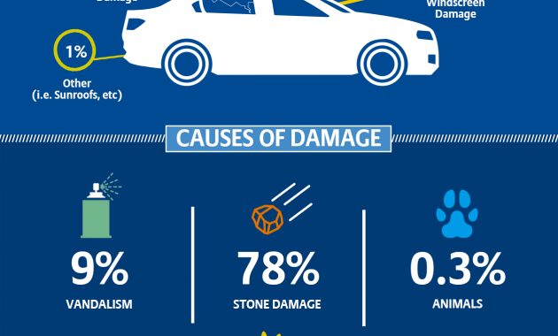 Windscreen Claims Infographic Allianz Insurance within size 1258 X 2000